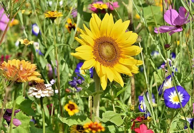 Guide d'achat meubles de jardin : conseils et sélection